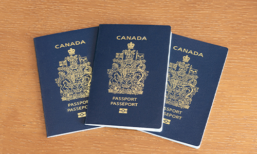temporary visas